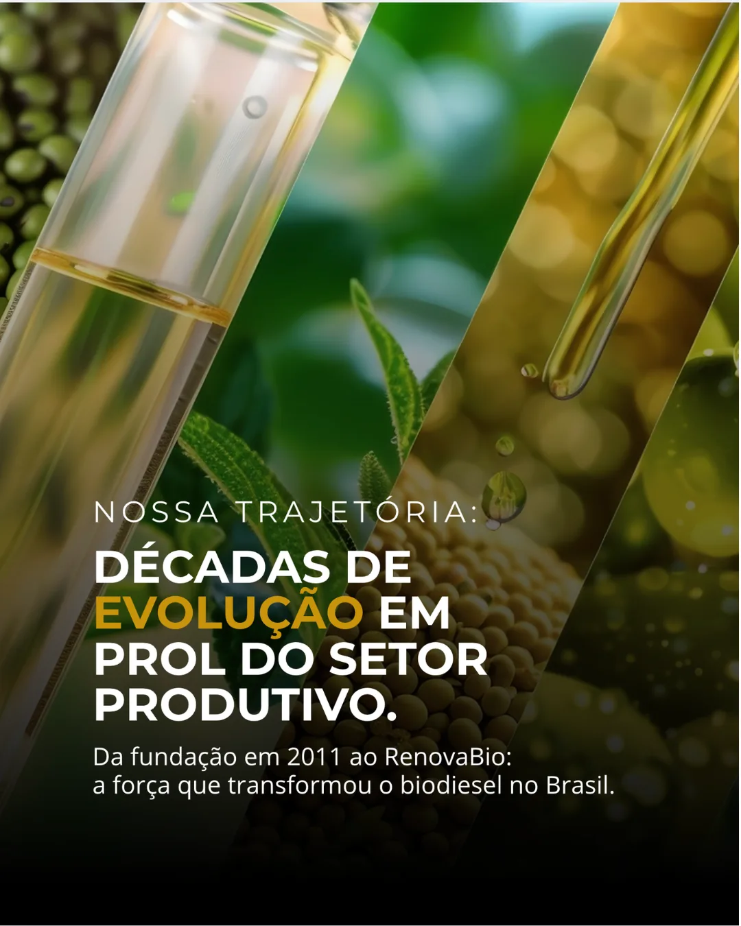 APROBIO carrossel